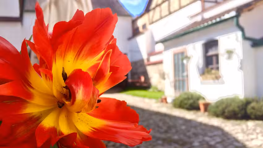 3 Seiten Ferienwohnung