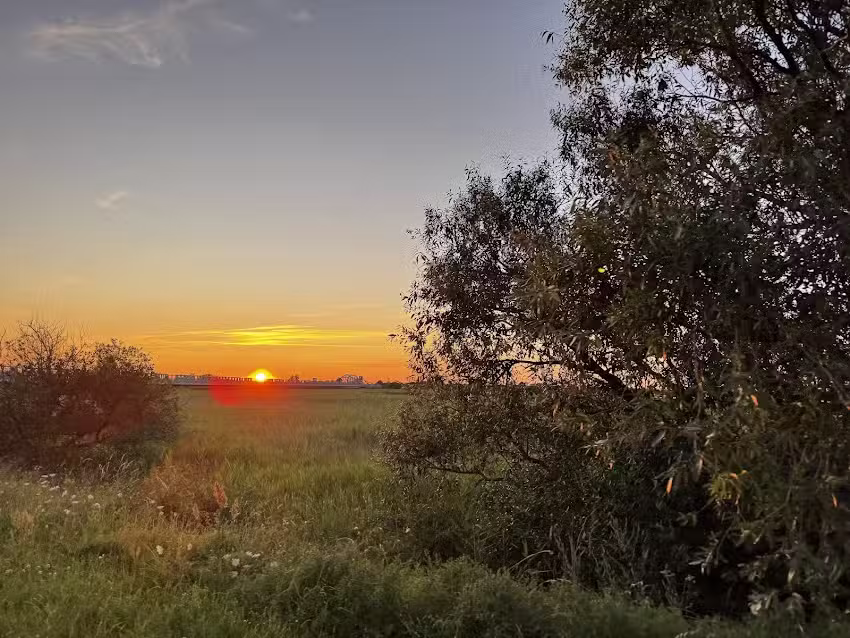 Agnes & Horst Haselhoff
