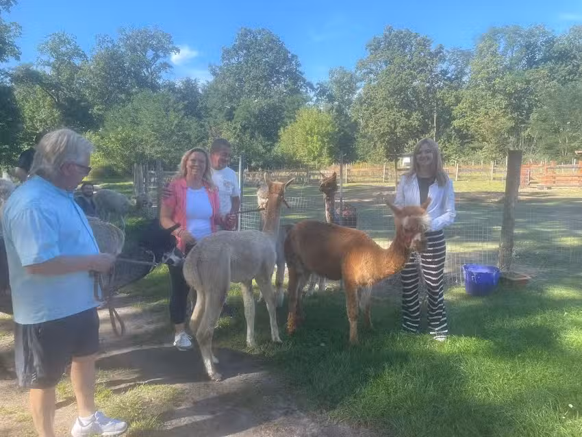 Alpakas vom Einhornland