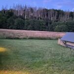 Alte M&uuml;hle B&ouml;rfink