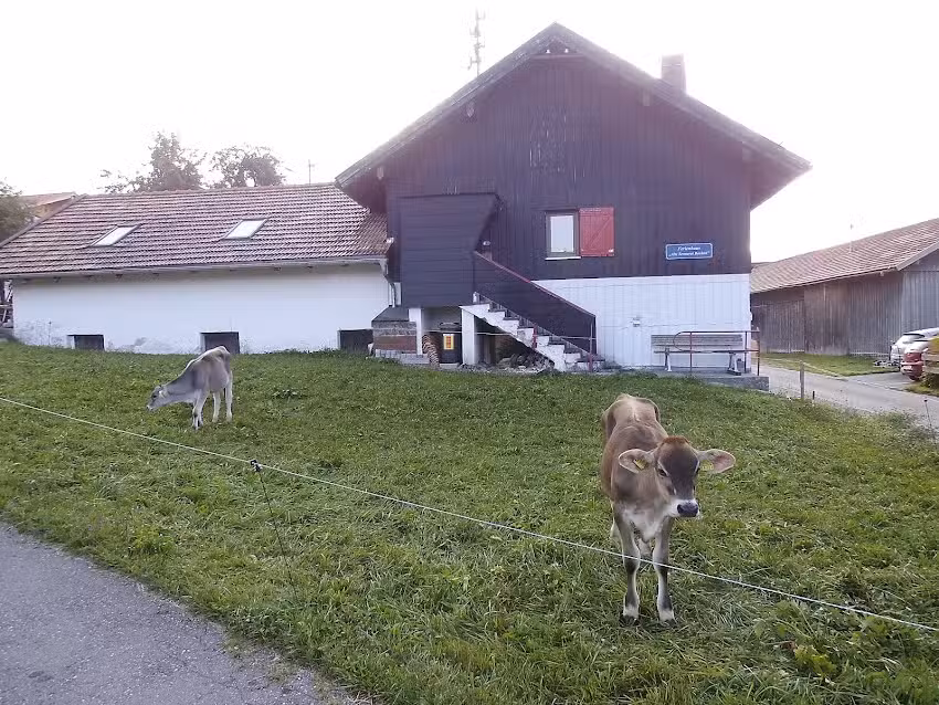 Alte Sennerei Bachtel