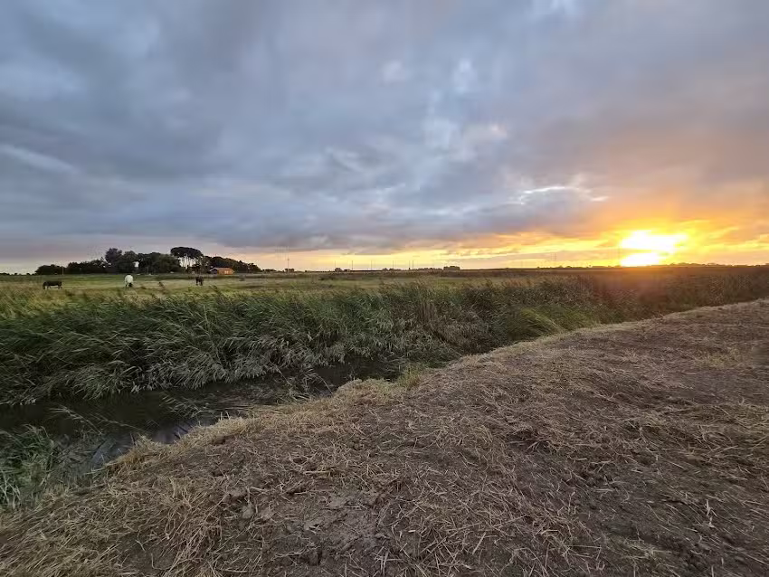 Altwerdumer Grashaus Ulfers