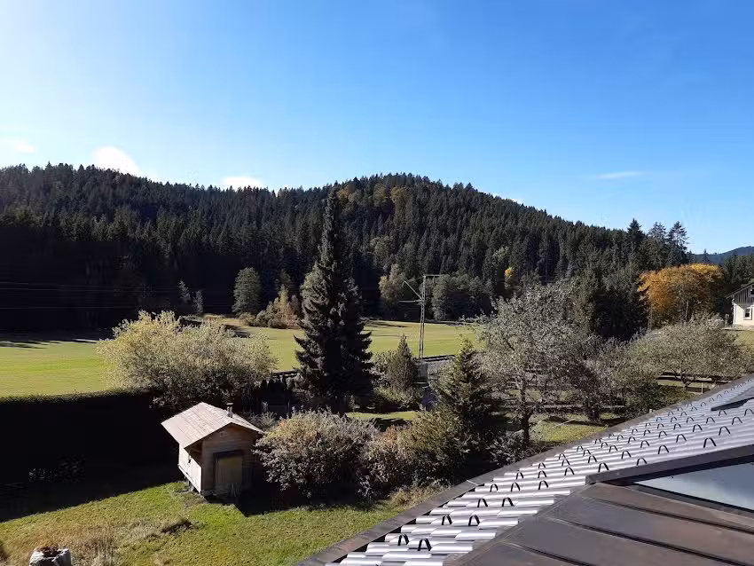 Am B&auml;renwald