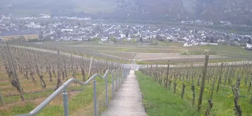 Am Weinberg