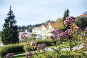 Angerhof Sport- u. Wellnesshotel