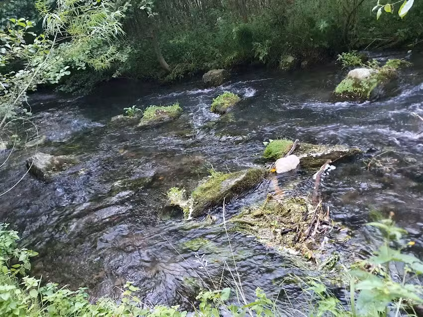 Anglerheim Warstein