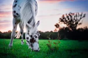 Annkathrin Gerdes – Systemisch-psychologische Beratung