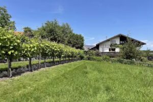 Apartment Am Weinberg Rimsting