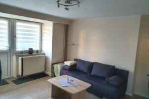 Apartment in Saxony in a charming area