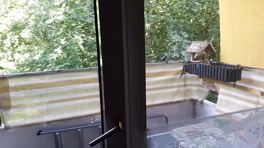 Apartment Sommerwind