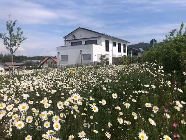 Apartments am Hasenberg