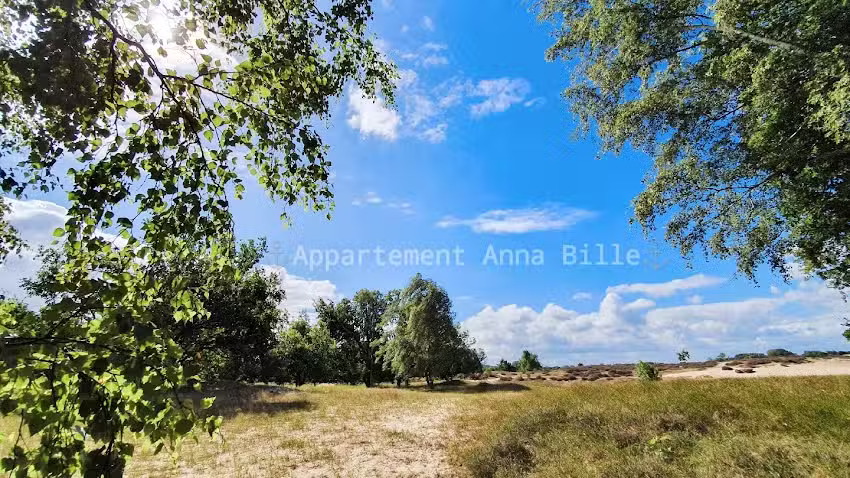 Appartement Anna Bille