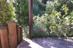 Appartementhaus Reislhuber