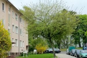 ask rooms – Privatzimmer in Kassel