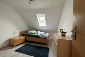 Attic Apartment Balcony Neustadt bei Coburg