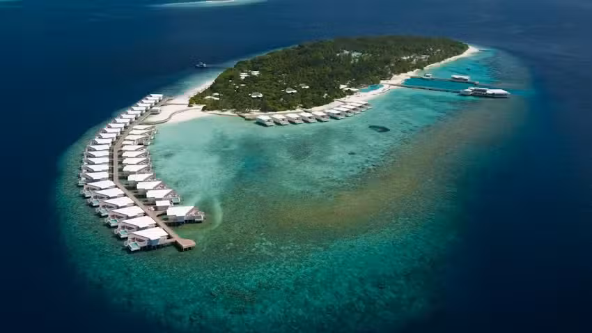 AUF UND DAVON &ndash; Die Flugprofis