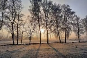Aussiedlerhof Naturoase mit Panoramablick