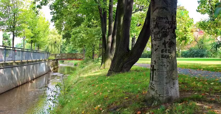 Ausspanne am Lockwitzbach