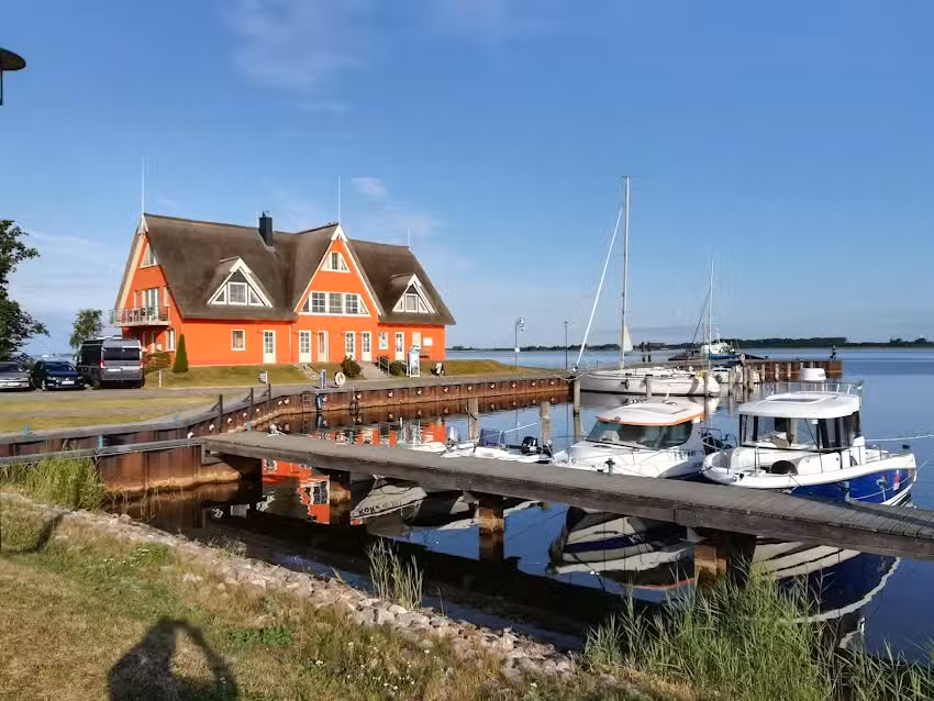 Austernfischer im Hafenhaus