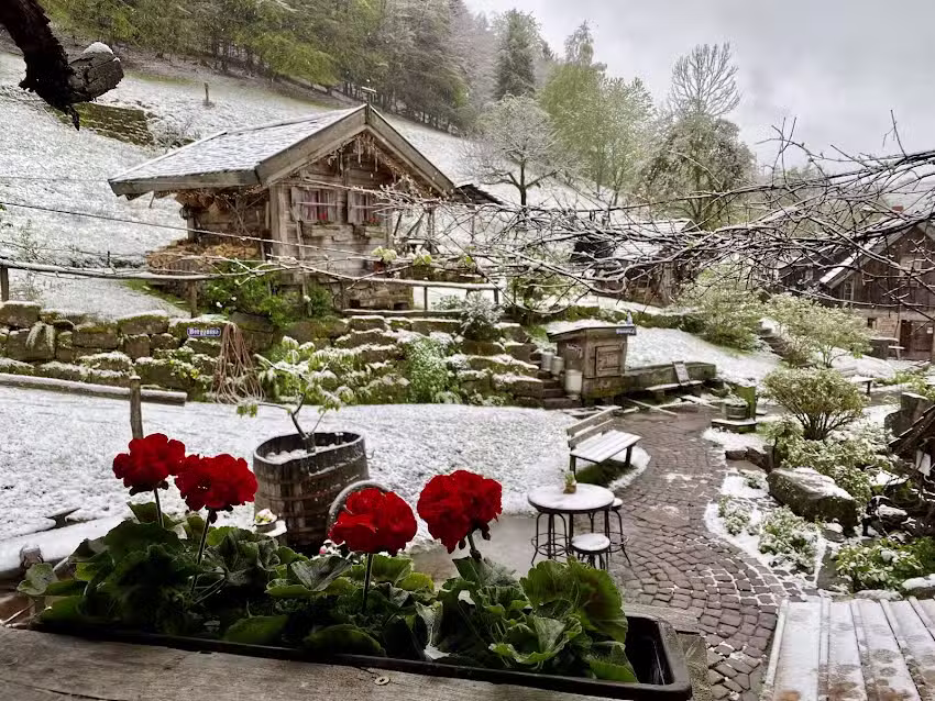 Bader Reinhard Bosch