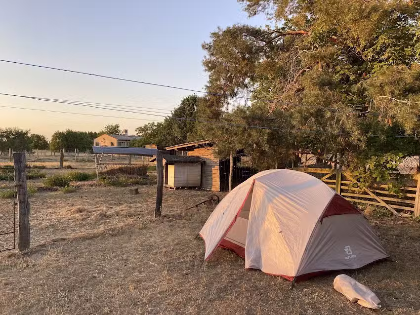 Bauernhof &bdquo;Bunte Schafe&ldquo;