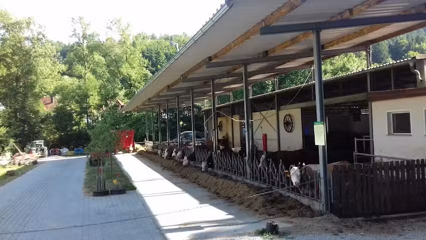 Bauernhof H&auml;nfling