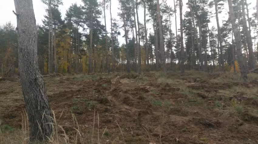 Bauernhof K&auml;the