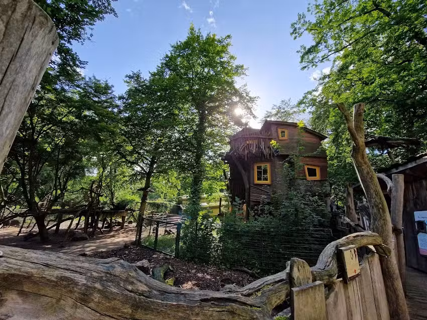 Baumhaus Schweriner Zoo
