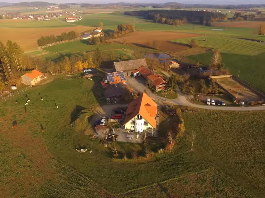 Bayerhof Islandpferde