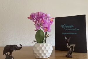 Bayerwaldzimmer