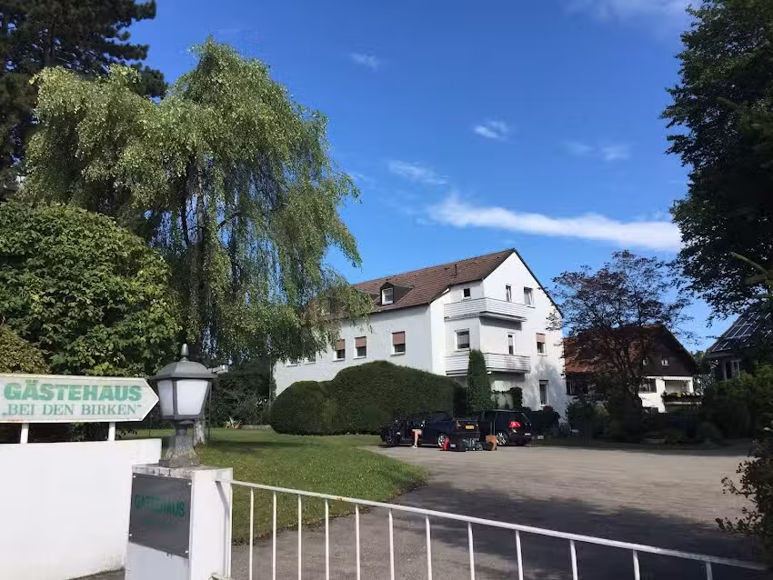 Bei den Birken