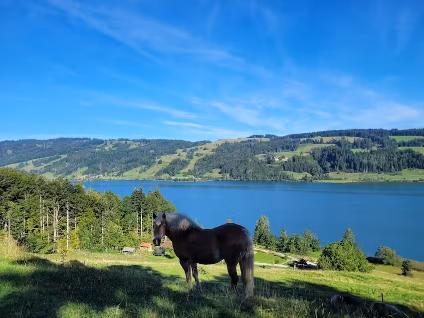 Bergpension Christine