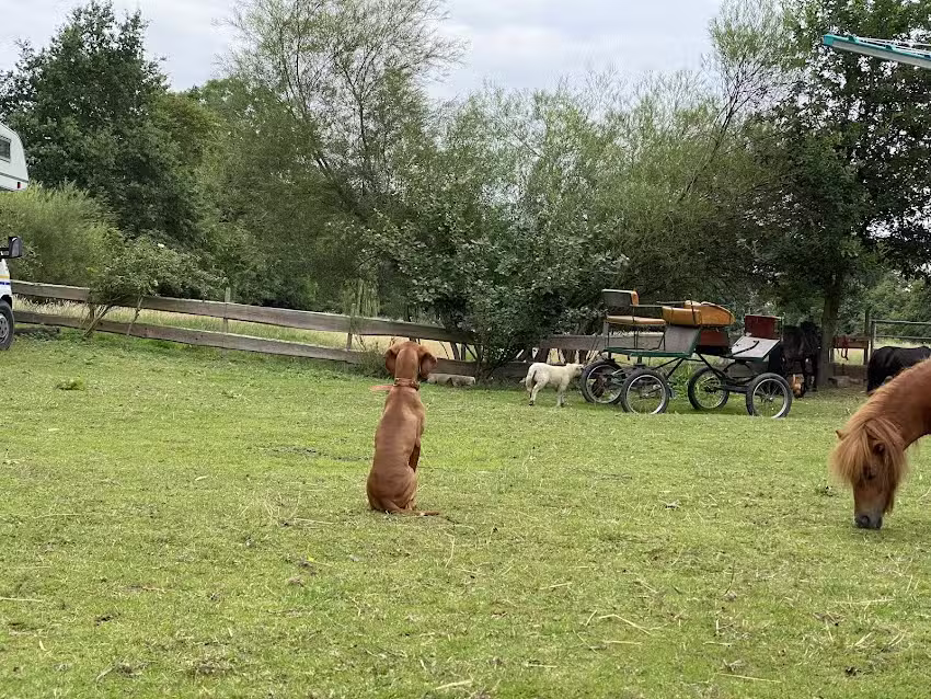 Beuchis Bauernhof