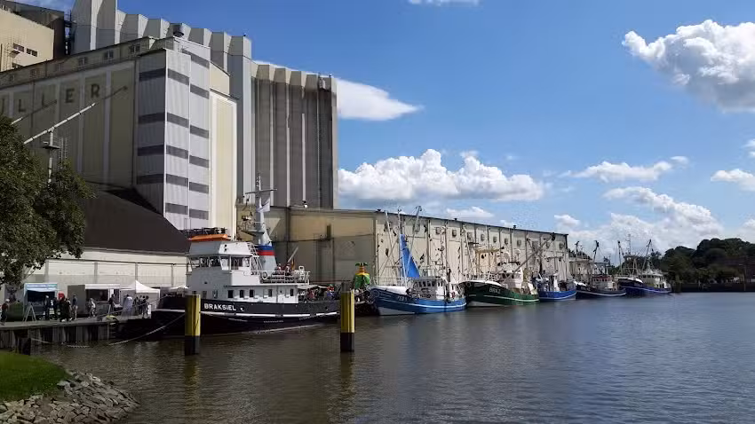 bikerbed &ndash; Brake