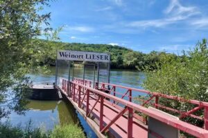 Bioweingut & Gästehaus Hubertushof