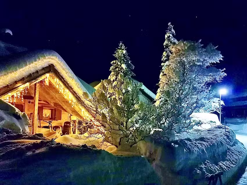 Blackforest Life