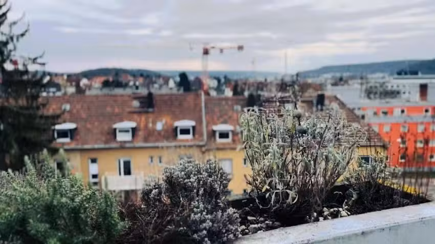 Bl&uuml;hendes Balkonwohnung mit Traumaussicht