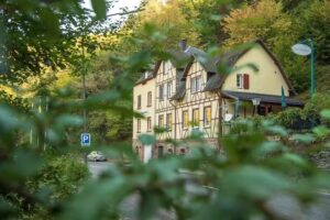 Boutique-Hotel Jungenwald