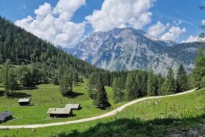B&uuml;chsenalm