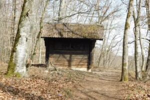 Buigenh&uuml;tte