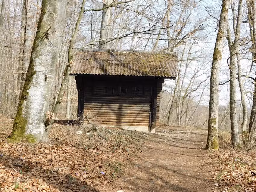 Buigenh&uuml;tte