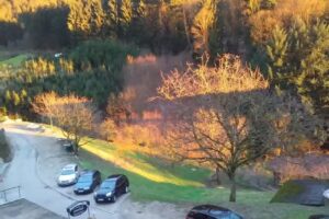 Cafe Waldblick