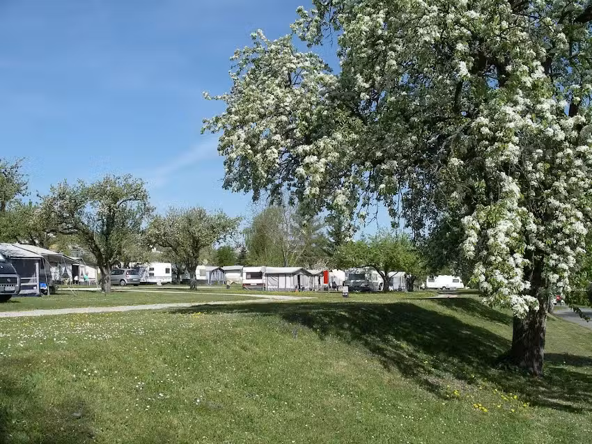 Campinggarten Wahlwies