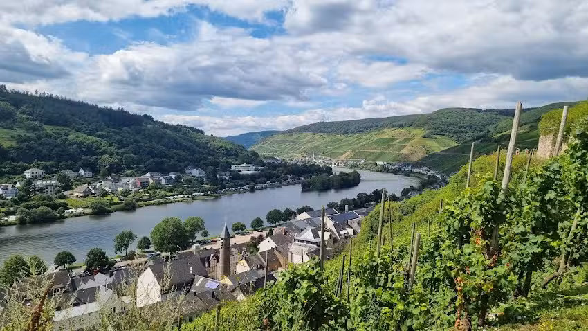 Campingpark Zell/Mosel e. K.
