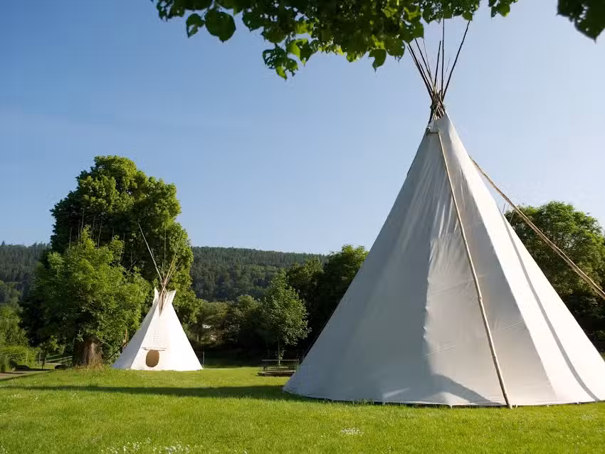 Campingplatz Neckargerach &ndash; ODENWALD river camp