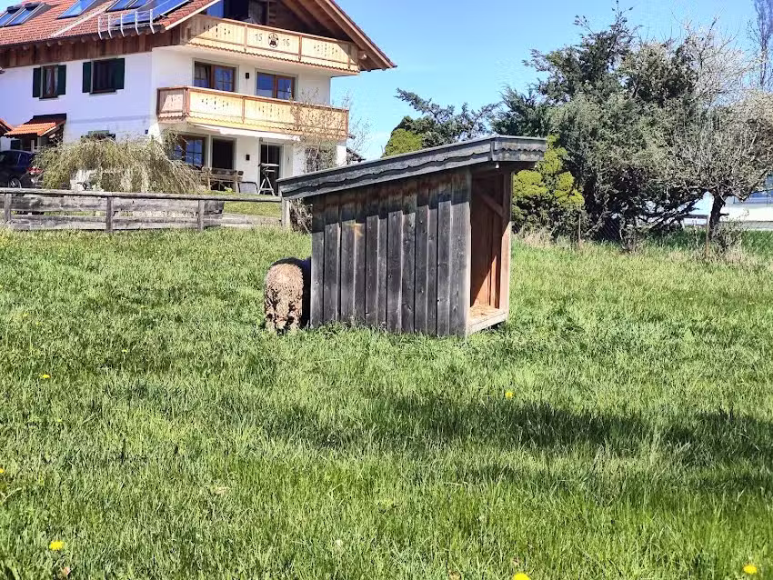 Campingplatz Riegsee