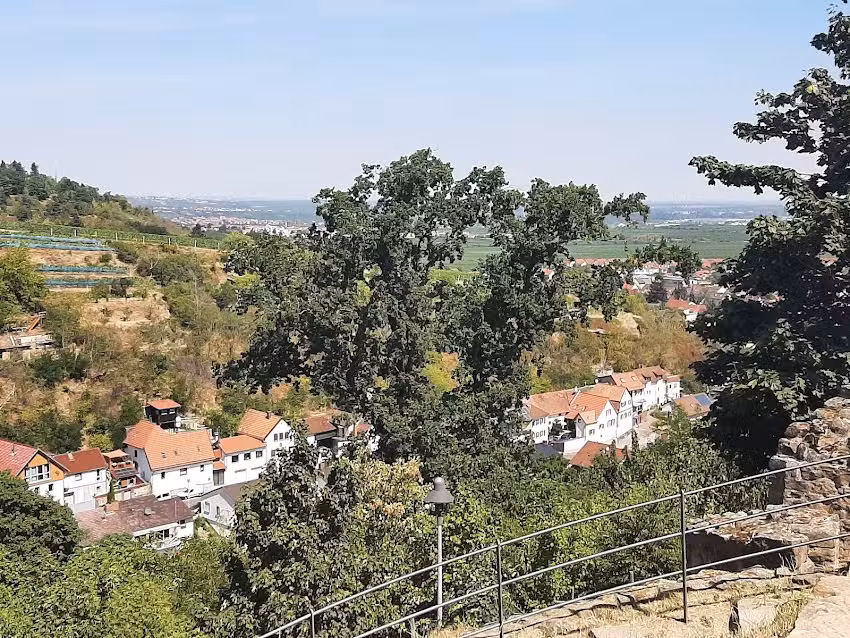 Campingplatz Wachenheim