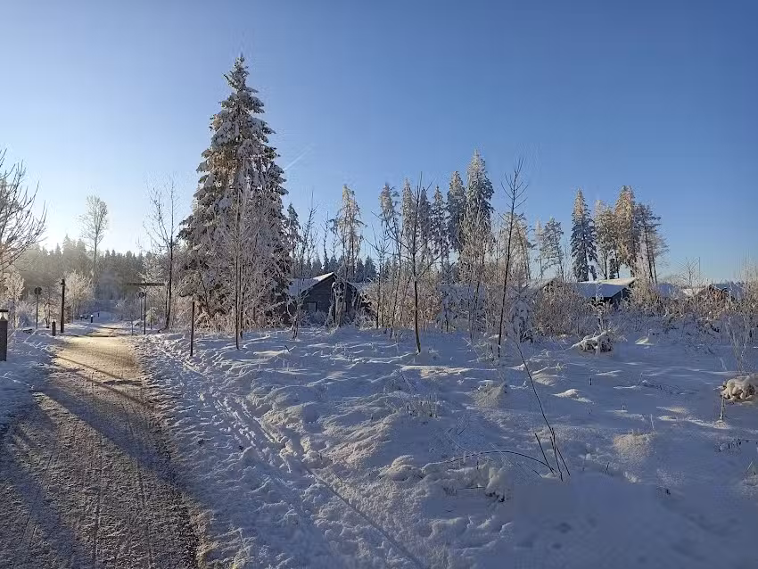 Center Parcs Haus 174