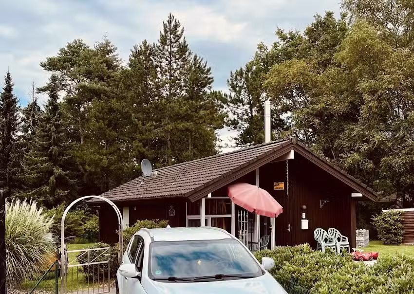 Dachsbau
