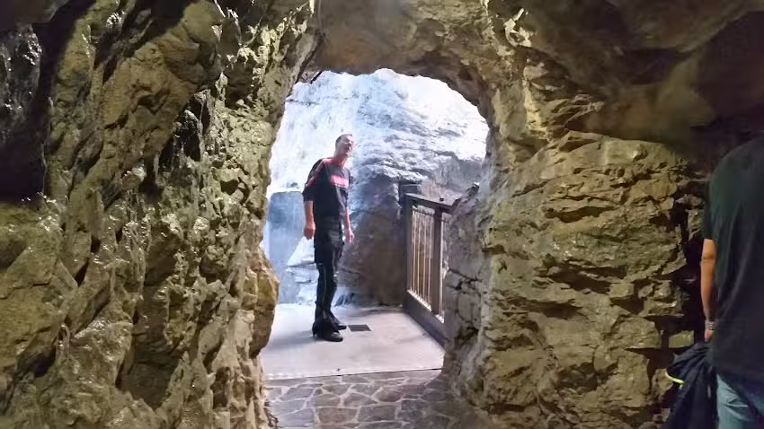 Daniela Reimer-Stuhler